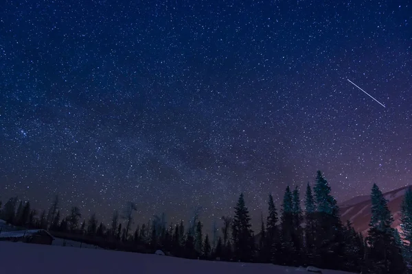 Ночной Пейзаж Красивым Звездным Небом — стоковое фото