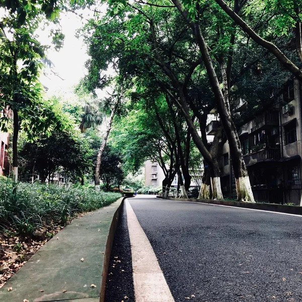 Camino Vacío Parque — Foto de Stock