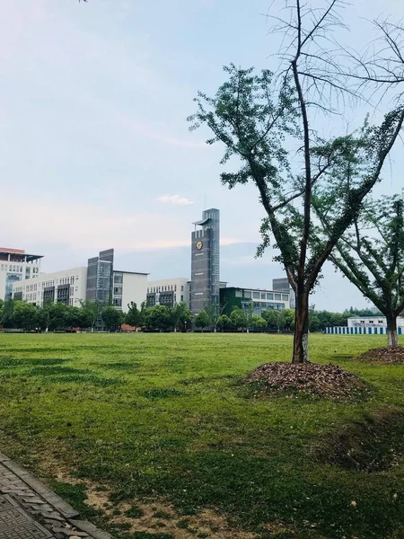 Ciudad Del Parque Por Mañana — Foto de Stock