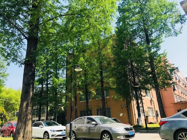 Hermoso Parque Ciudad Verano — Foto de Stock