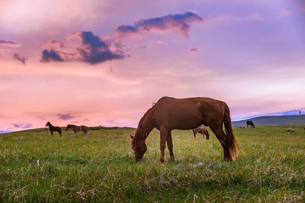 picturesque view of outdoor scene