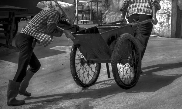 a man in a cart with a horse in the garage