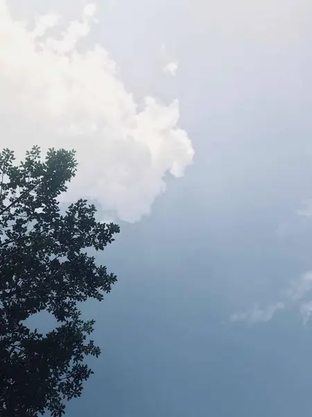 Hermoso Paisaje Con Árboles Nubes — Foto de Stock