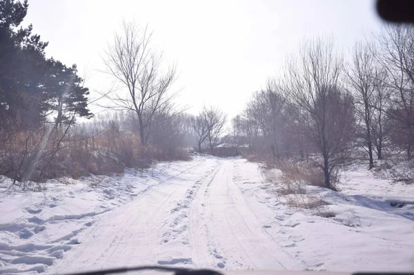 Paisaje Invierno Con Nieve — Foto de Stock
