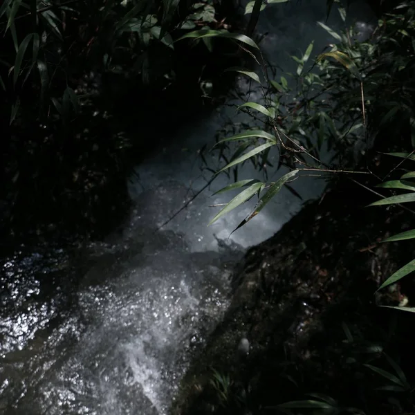 Una Pequeña Cascada Bosque — Foto de Stock