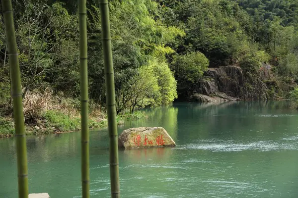 Hermoso Paisaje Con Una Cascada Bosque — Foto de Stock