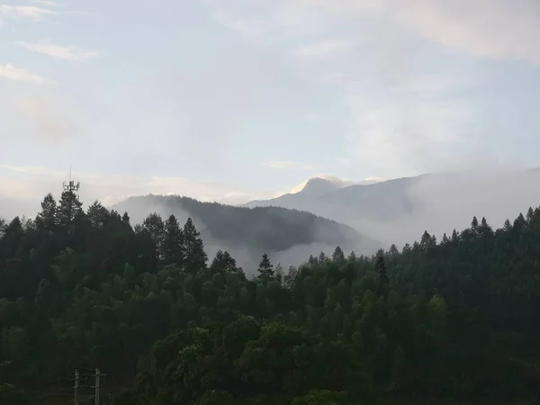 Paisaje Montaña Con Niebla Árboles — Foto de Stock
