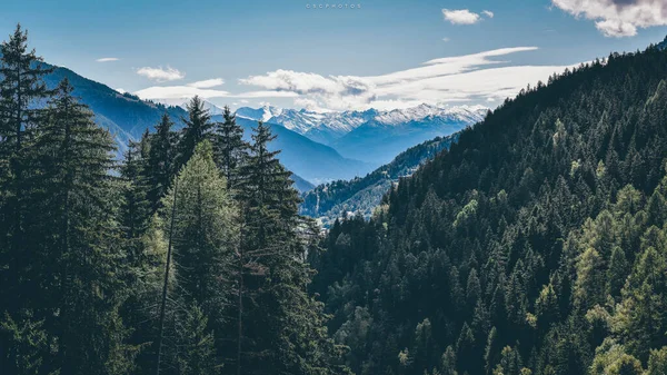 Berglandschap Karpaten — Stockfoto