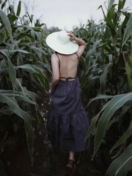 一个戴着帽子 穿着白衬衫的年轻女子在田里 — 图库照片