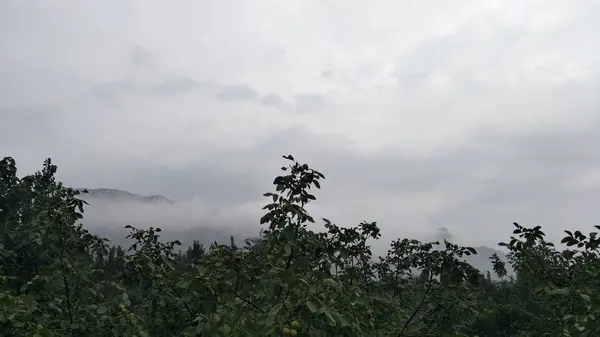 Hermoso Paisaje Con Árboles Nubes — Foto de Stock