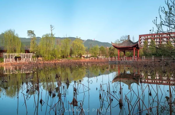 stock image beautiful landscape with pond and lake