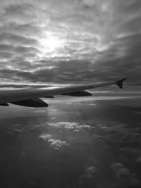 aerial view of the plane in the sky