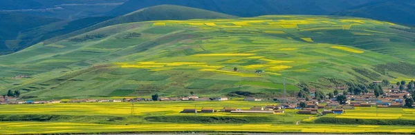 green fields and mountains in the valley of the world