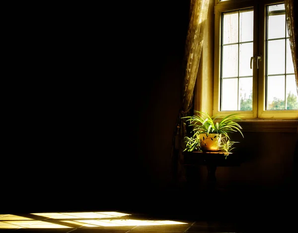 Hermoso Interior Una Casa Con Una Lámpara — Foto de Stock