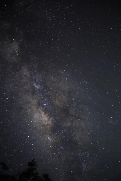 Vista Nocturna Hermosa Vía Láctea Cielo Nocturno Con Estrellas — Foto de Stock