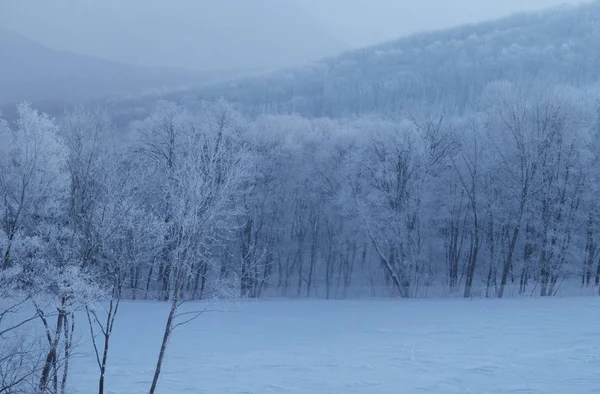 Paisaje Invierno Con Nieve — Foto de Stock