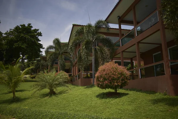 Jardim Tropical Com Palmeiras Plantas — Fotografia de Stock