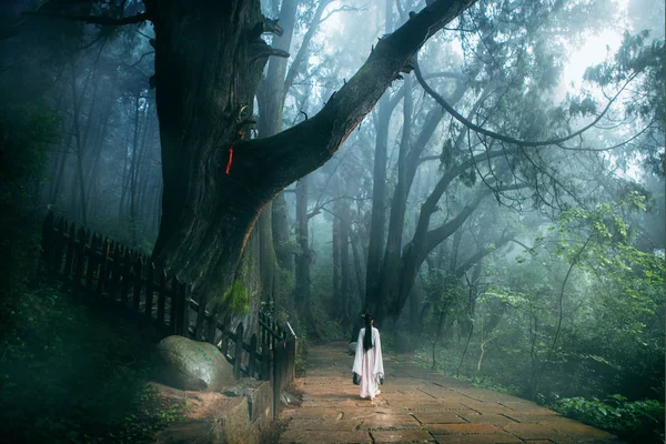 Piękna Młoda Kobieta Sukience Latarnią Lesie — Zdjęcie stockowe