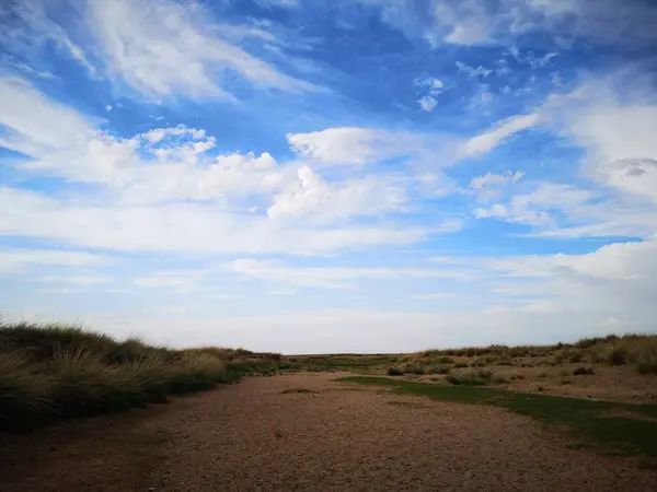 Beau Paysage Avec Arbre Champ — Photo