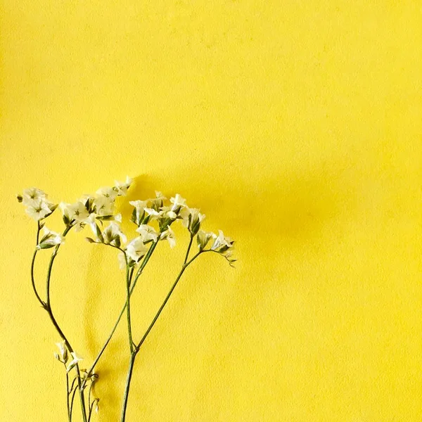 yellow flower on a vintage background