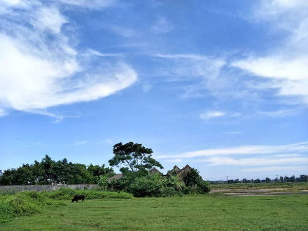 Campo Verde Nubes Fondo — Foto de Stock