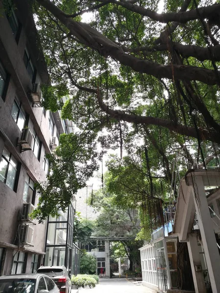 Edificio Moderno Ciudad — Foto de Stock