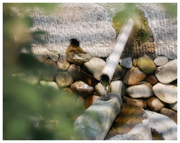 A collage of a wild stone — Stock Image Collage Wild Stone Stock Image