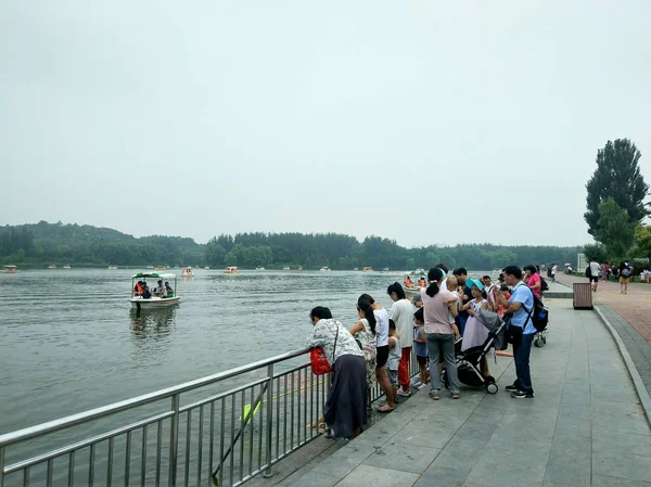 Personas Parque Verano — Foto de Stock