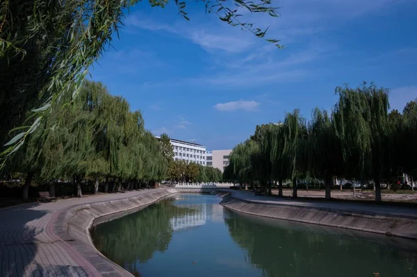 Vista Ciudad Del Parque Verano — Foto de Stock