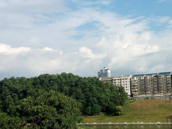 Vista Ciudad Del Parque Verano — Foto de Stock