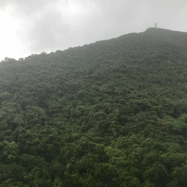 Paisaje Montaña Con Árboles Verdes Bosque — Foto de Stock