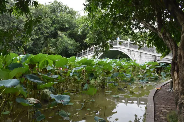 Jardín Ciudad Tailandia — Foto de Stock