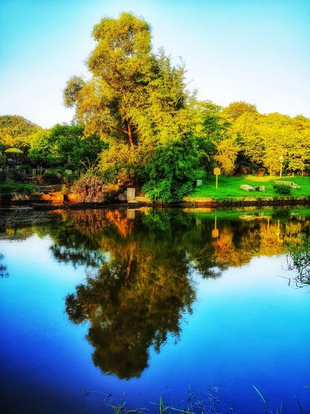 Hermoso Paisaje Con Árboles Reflejos — Foto de Stock