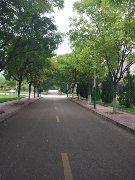 Camino Vacío Parque — Foto de Stock