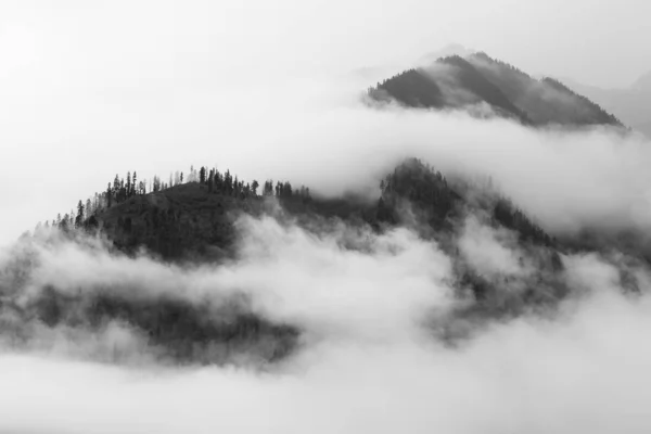 fog in the mountains.