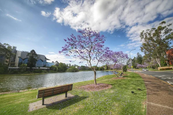 Hermoso Parque Ciudad Tailandia — Foto de Stock