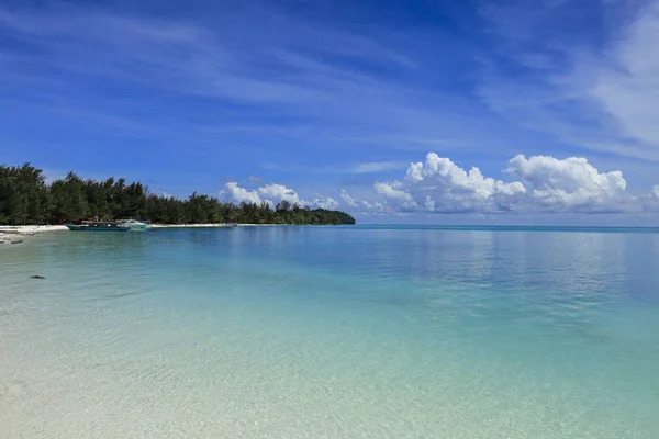 Hermosa Vista Naturaleza Escena — Foto de Stock