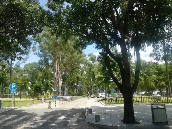 Parque Ciudad Verano — Foto de Stock