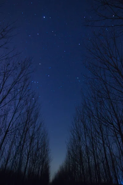 Hermoso Cielo Estrellado Noche — Foto de Stock