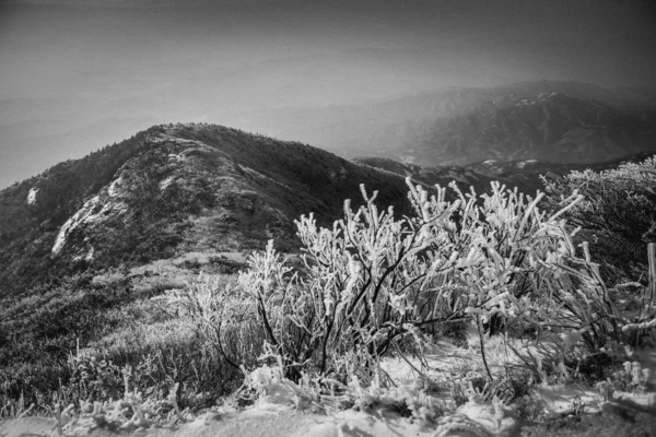 black and white photo of a mountain landscape