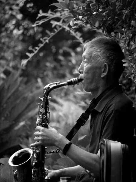 Hombre Tocando Saxofón Parque — Foto de Stock