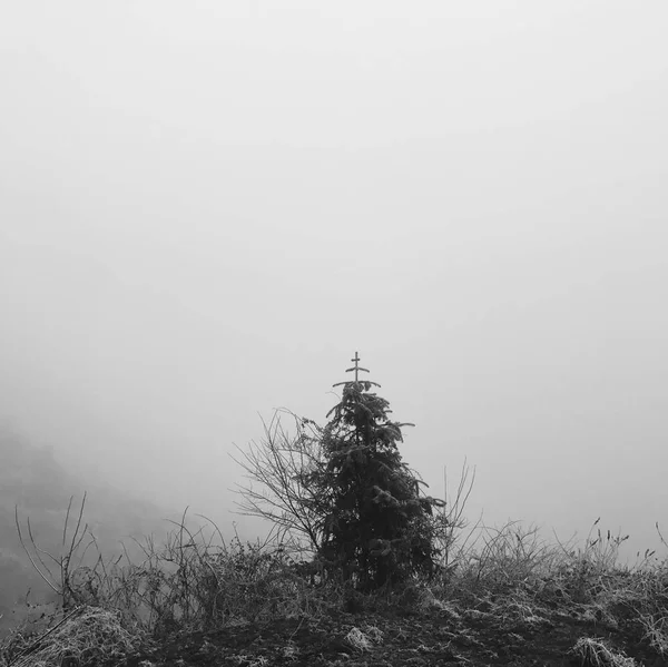 Vista Pittoresca Del Parco Della Città — Foto Stock