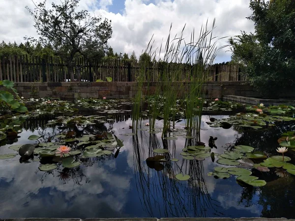 Hermoso Estanque Parque — Foto de Stock