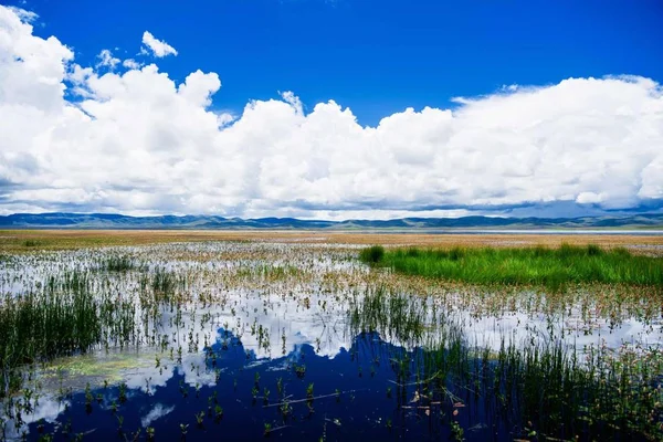 Hermoso Paisaje Con Lago Fondo —  Fotos de Stock