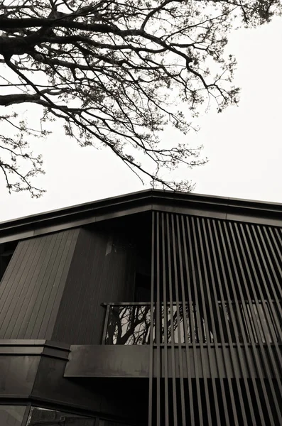 Foto Blanco Negro Edificio Moderno — Foto de Stock