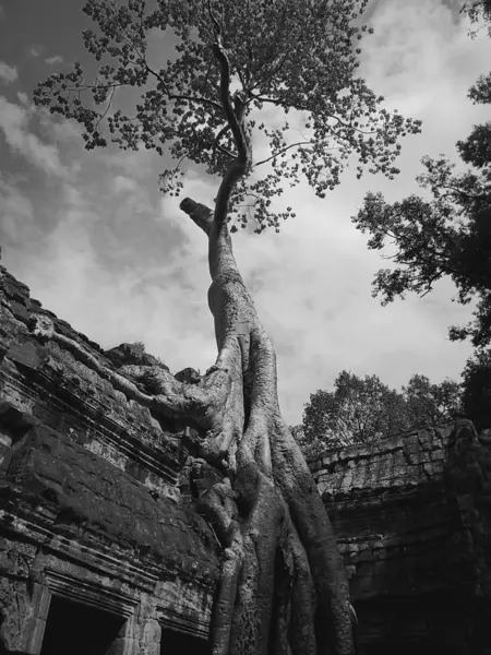 Ruinas Antiguas Angkor Wat Camboya — Foto de Stock