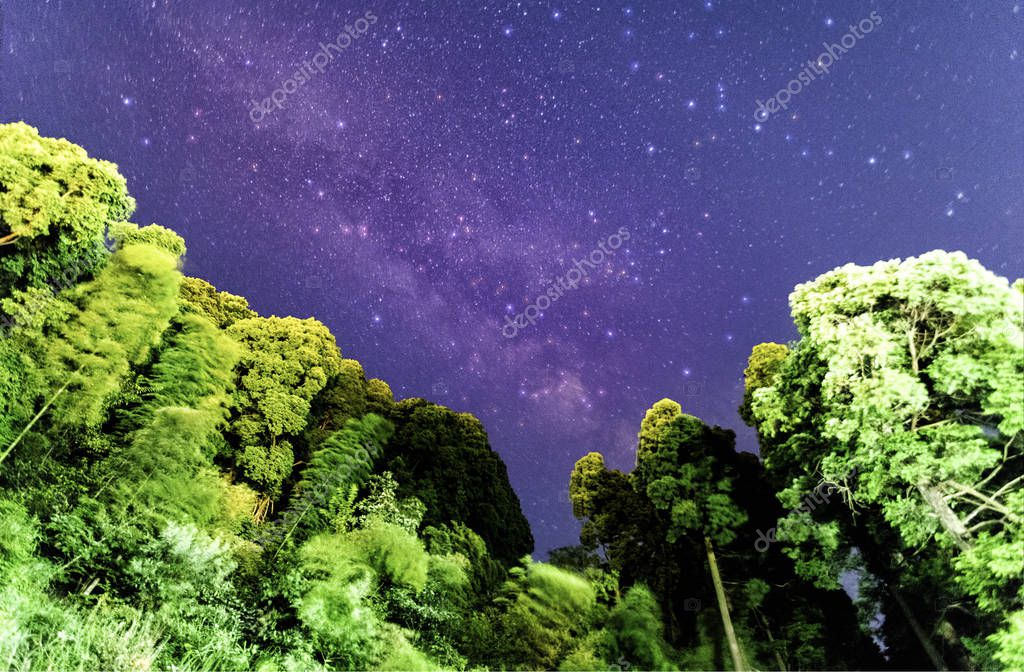 Imaginechina-Tuchong