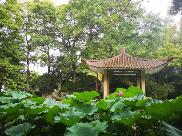Hermoso Jardín Chino Parque — Foto de Stock