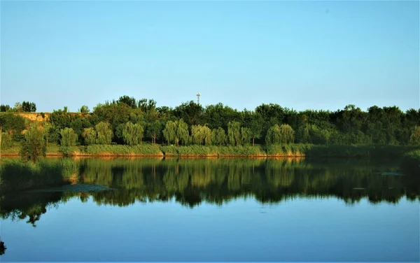 Hermoso Paisaje Lago Verano — Foto de Stock