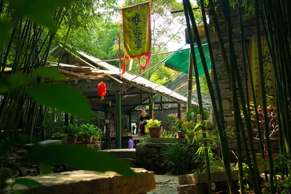 Hermoso Jardín Tropical Parque — Foto de Stock